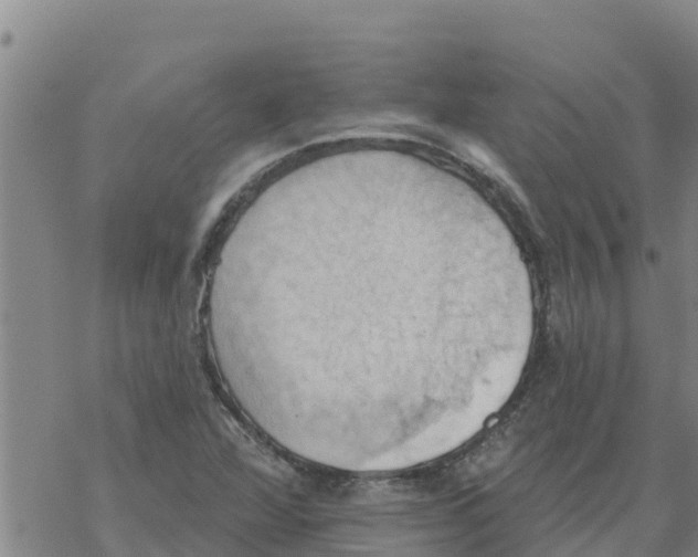 X0000068741360200605262040