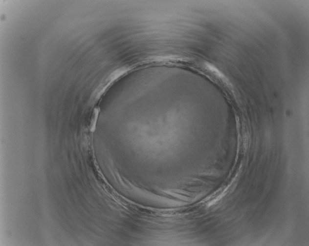 X0000068741361200605262040