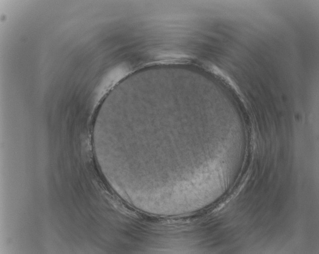 X0000068741362200605262040