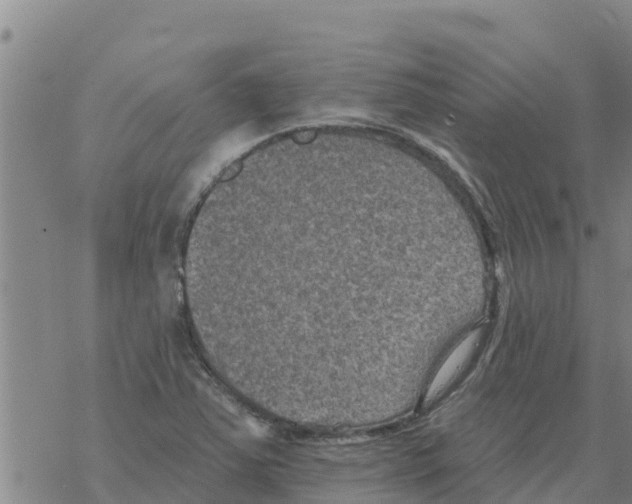 X0000068741363200605262040