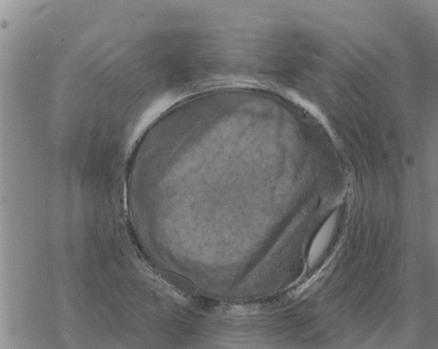 X0000068741365200605262040