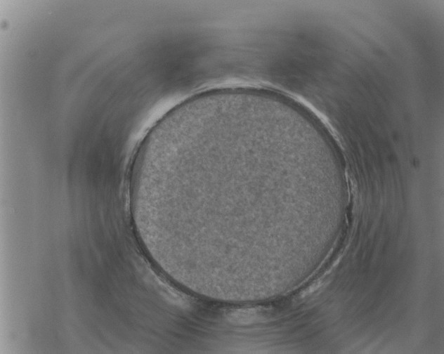 X0000068741367200605262040