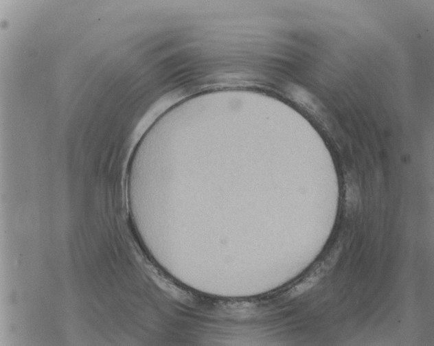 X0000068741370200605262040