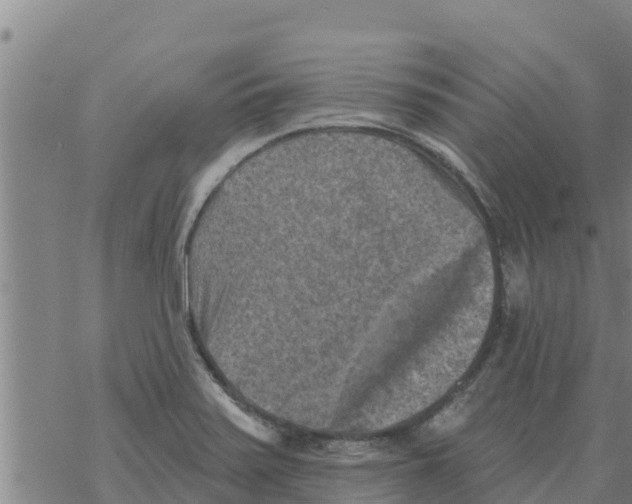 X0000068741371200605262040