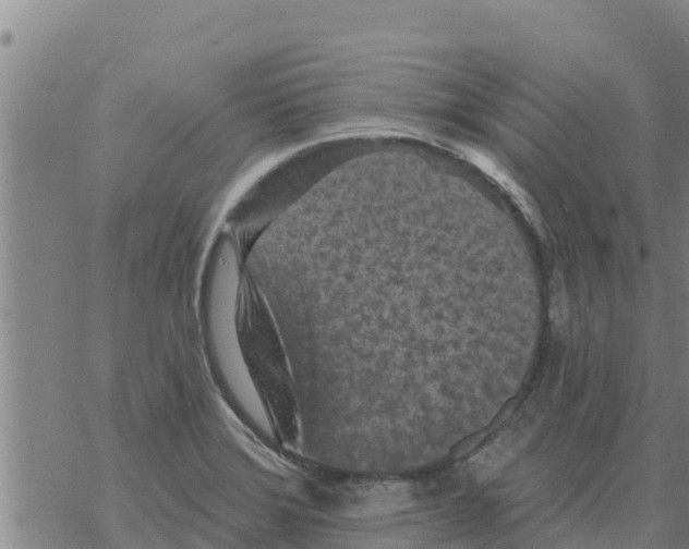 X0000068741372200605262040