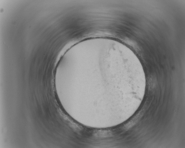 X0000068741374200605262040