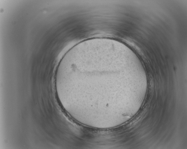 X0000068741375200605262040