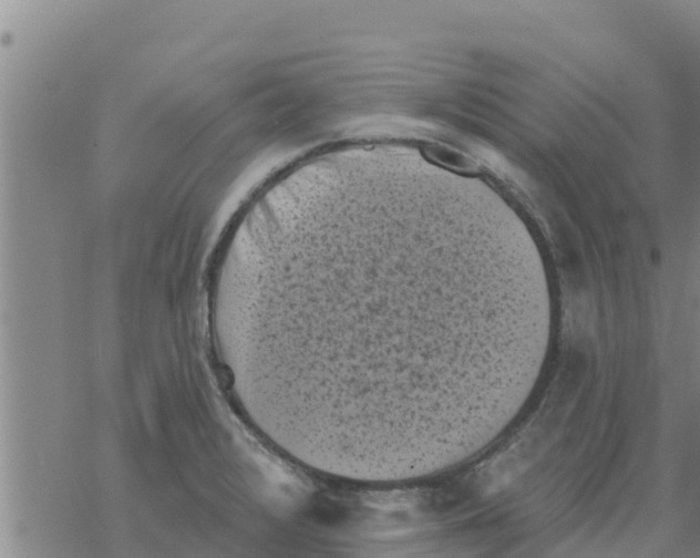 X0000068741376200605262040