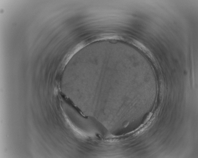 X0000068741377200605262040