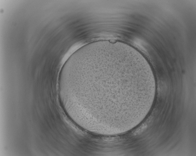 X0000068741378200605262040