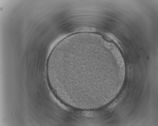 X0000068741379200605262040