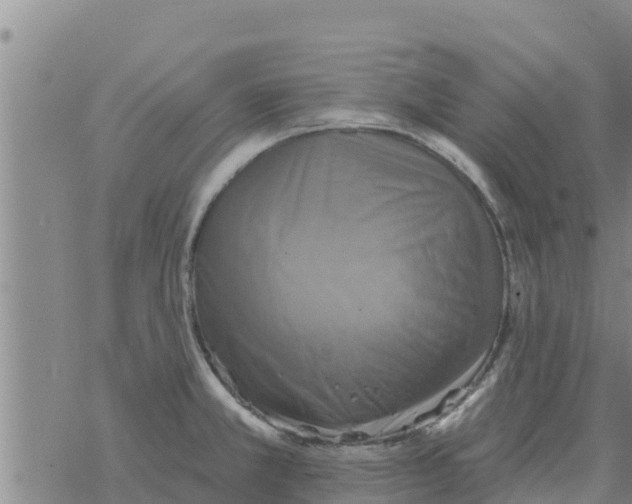 X0000068741381200605262040