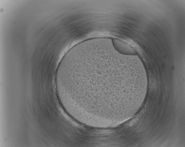 X0000068741382200605262040