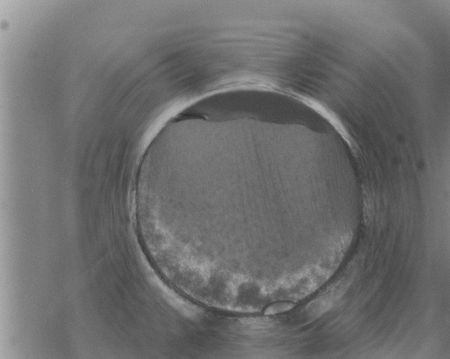 X0000068741383200605262040