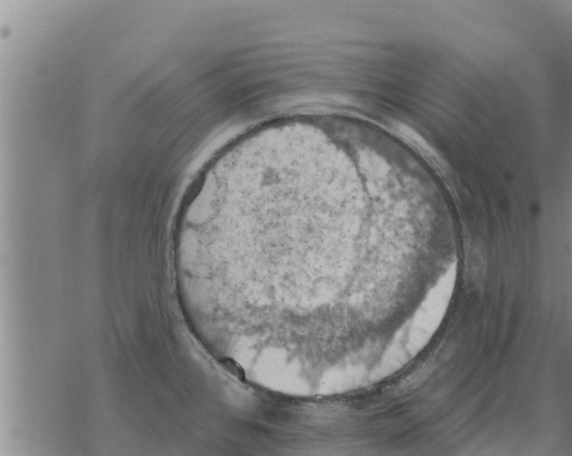 X0000068741384200605262040