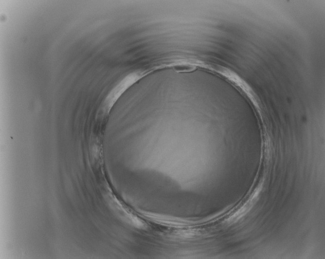 X0000068741385200605262040