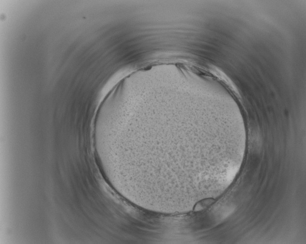 X0000068741386200605262040