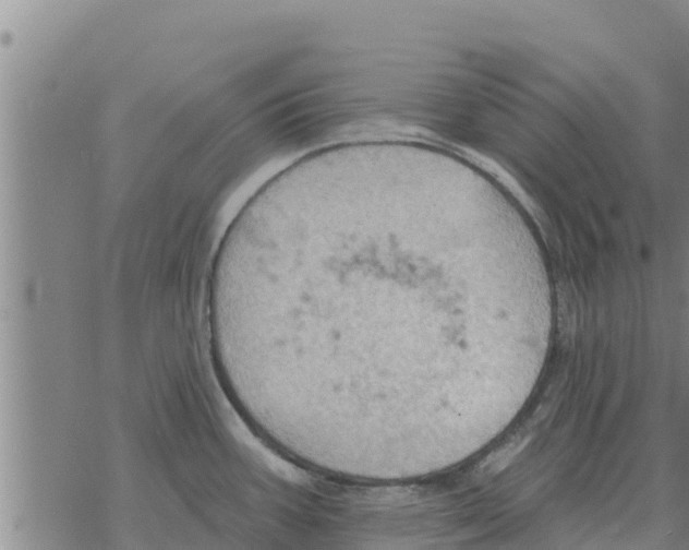 X0000068741387200605262040