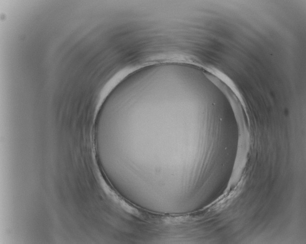 X0000068741389200605262040