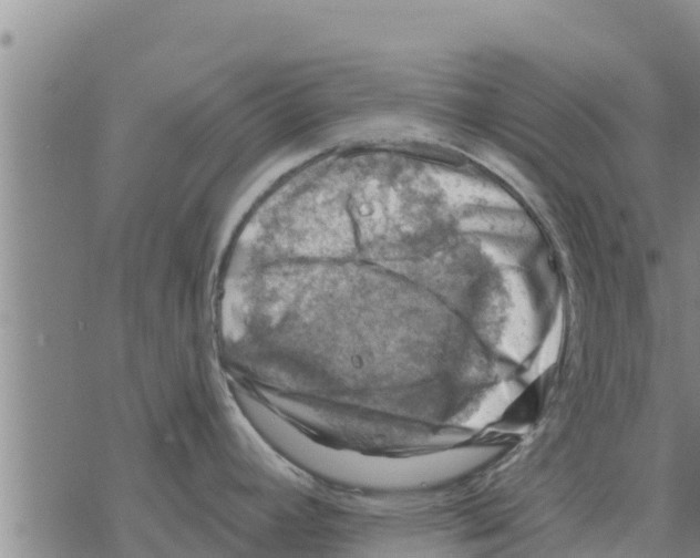 X0000068741392200605262040