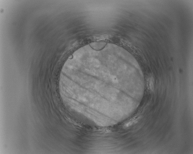 X0000068741393200605262039