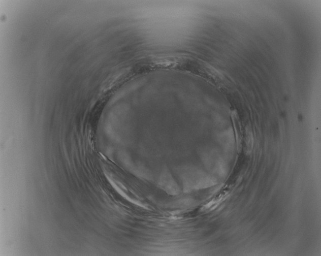 X0000068741394200605262039