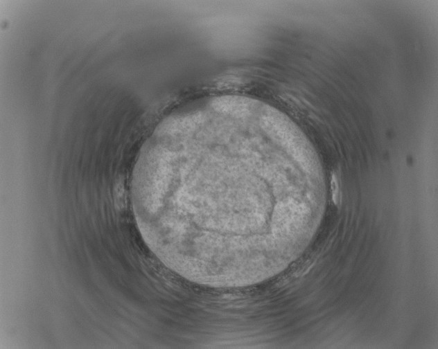 X0000068741395200605262039