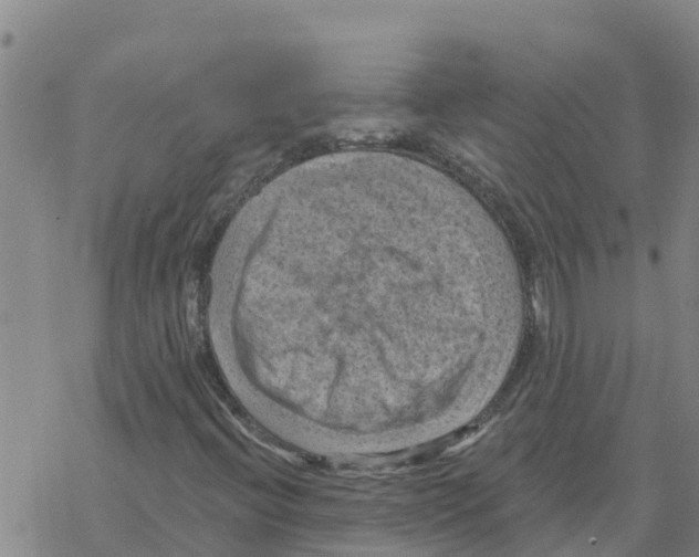 X0000068741396200605262039