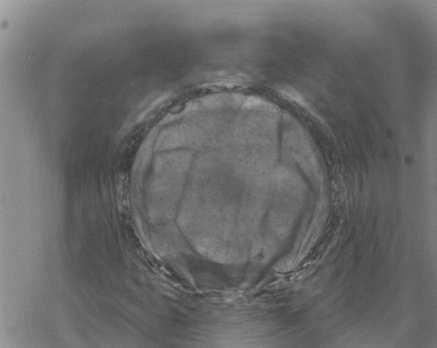 X0000068741399200605262039