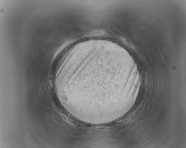 X0000068741400200605262039