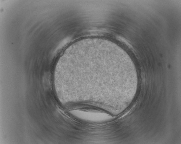 X0000068741403200605262039