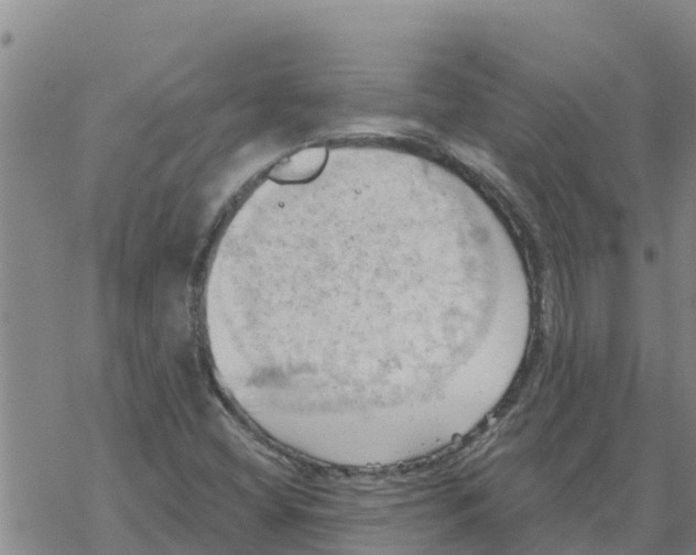 X0000068741404200605262039