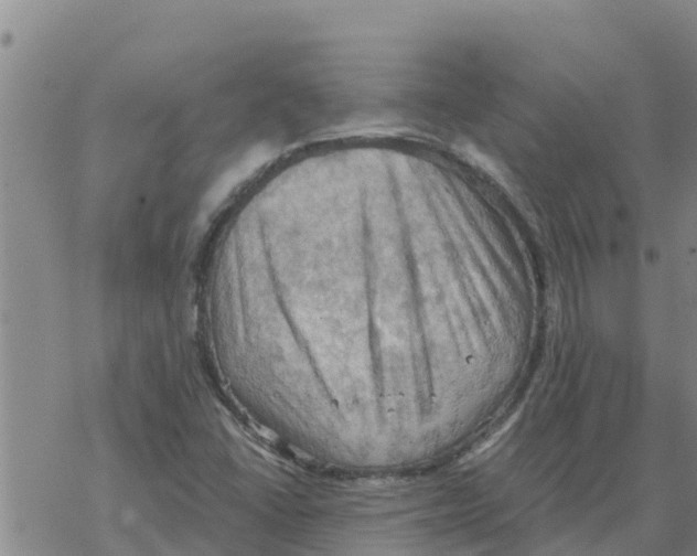 X0000068741406200605262039