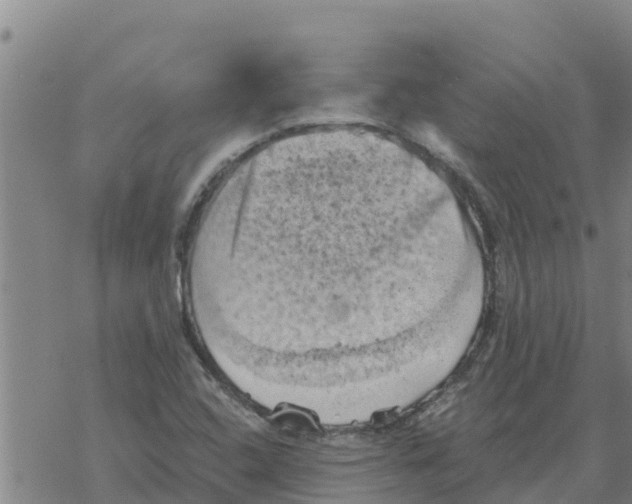 X0000068741408200605262039