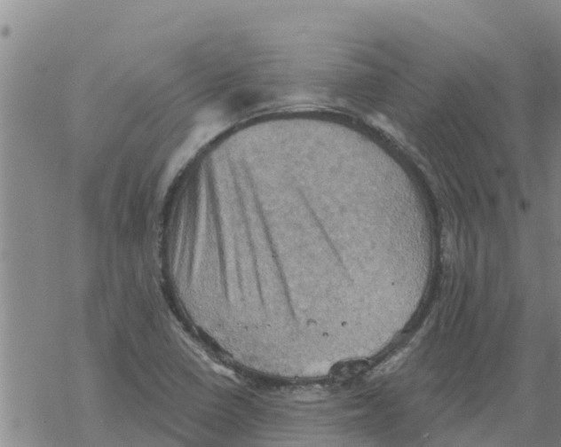 X0000068741410200605262039