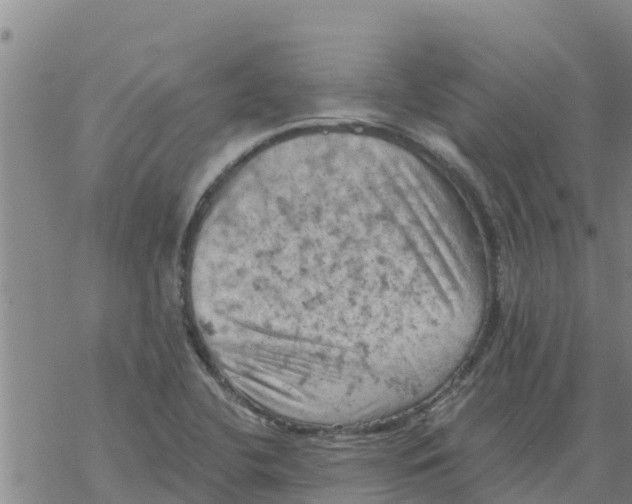 X0000068741412200605262039