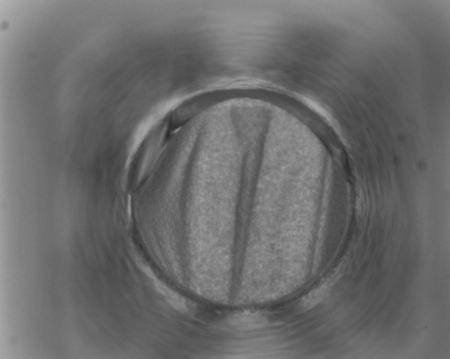 X0000068741414200605262039