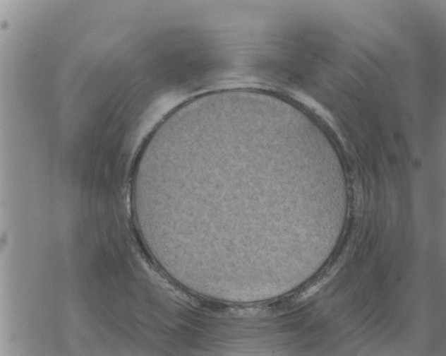 X0000068741415200605262039