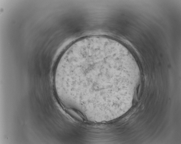 X0000068741416200605262039