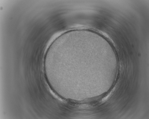 X0000068741421200605262039