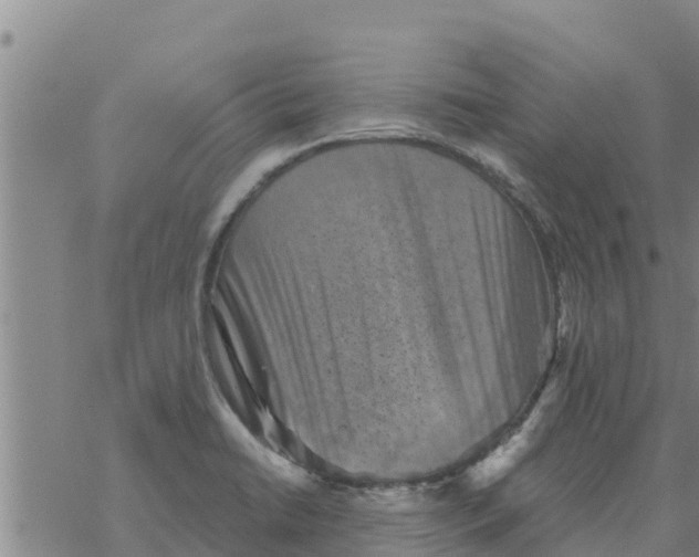 X0000068741422200605262039