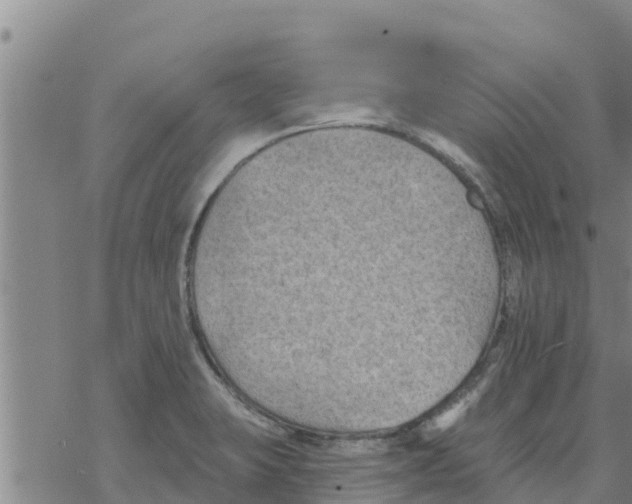 X0000068741423200605262039