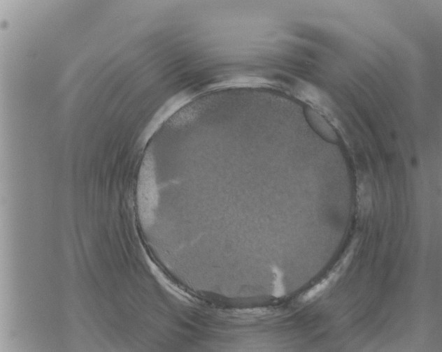 X0000068741425200605262039