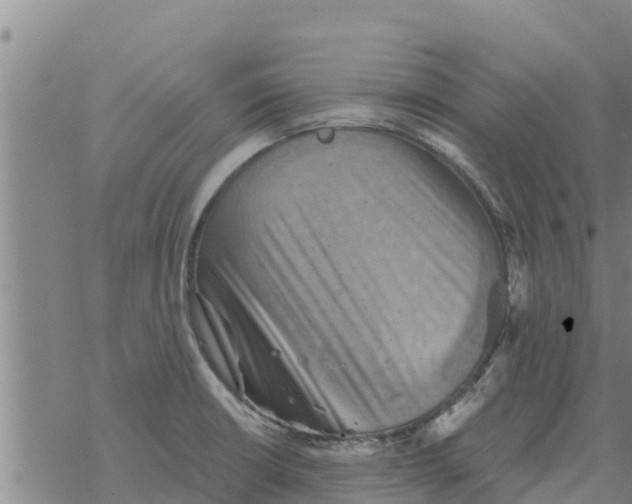 X0000068741426200605262039