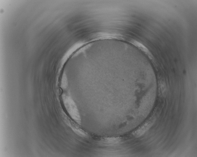 X0000068741427200605262039