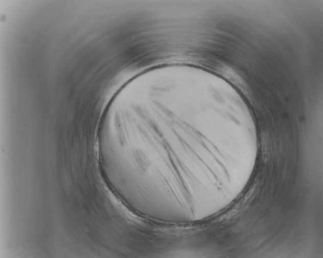 X0000068741428200605262039