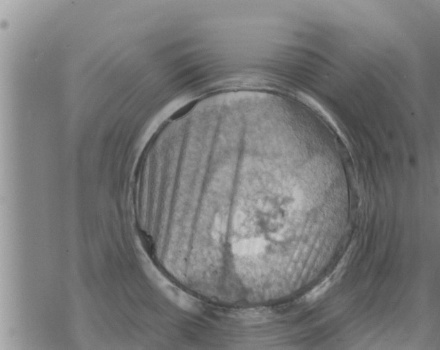 X0000068741434200605262040