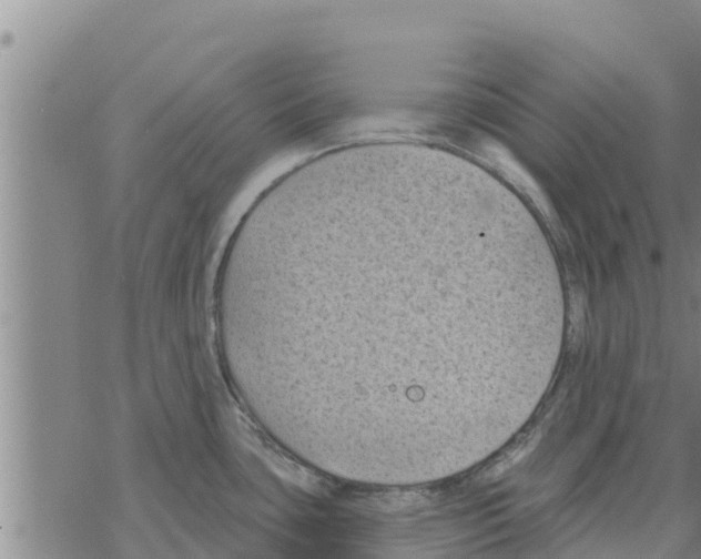 X0000068741435200605262040