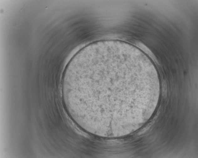 X0000068741436200605262040