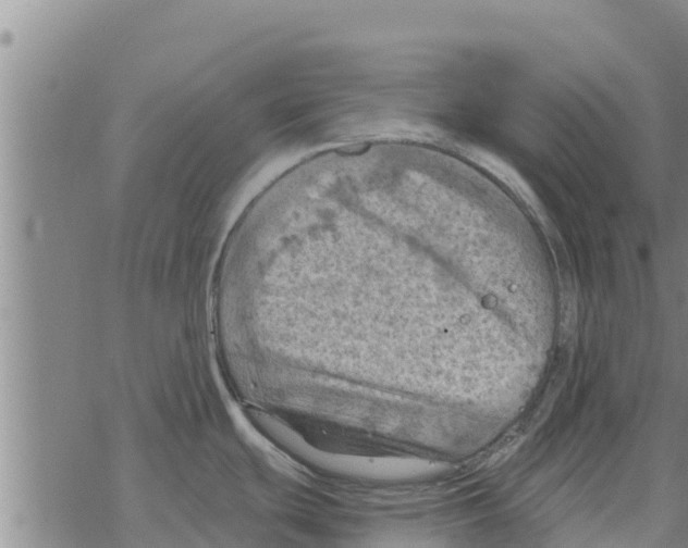 X0000068741439200605262040